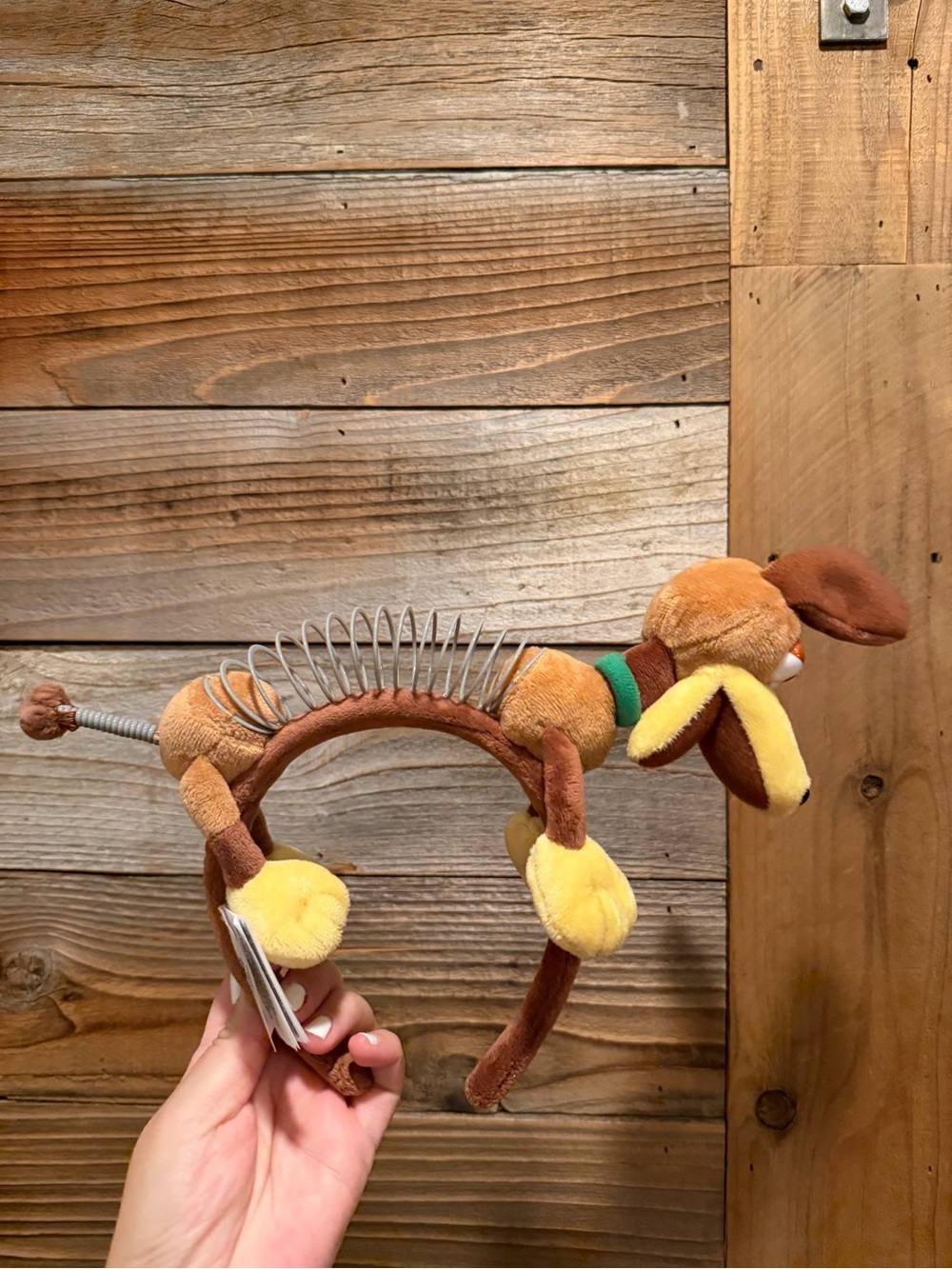 Disney Slinky Ears